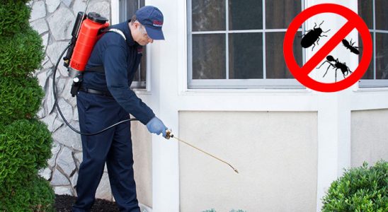 Biga Hamam Böceği İlaçlama böcek ilaçlama ve haşere kontrolü — ilaclama-tr.com